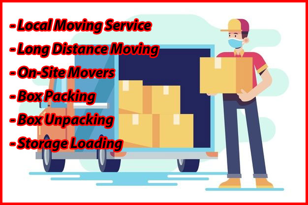 Packers And Movers Noida Sector 44